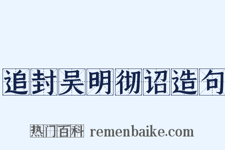 追封吴明彻诏造句是什么意思的图片